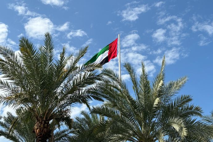 Flag of the United Arab Emirates