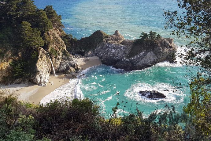 Green trees on a brown sand beach of blue, natural, USA, and ocean waves in the United States