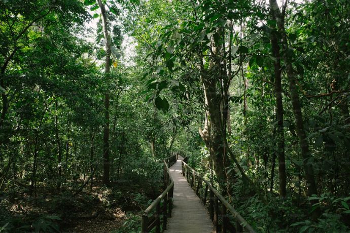 Ulu Temburong park