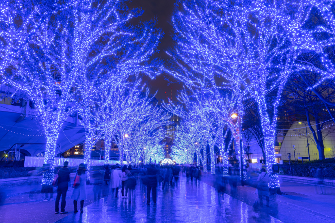 Create lasting memories at spectacular Christmas and New Year destinations this season.