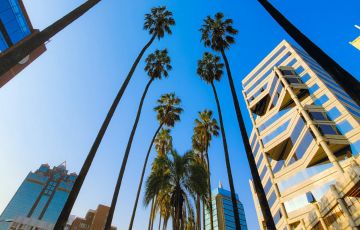 Travel Insurance Zimbabwe Price: What You Need to Know Before You Go