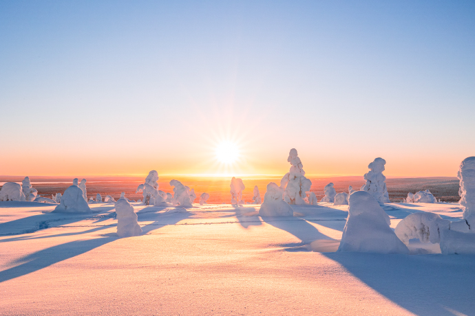 Lapland Finland Winter Destination with Northern Lights and Snowy Forest Landscape
