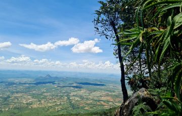 Why You Should Travel in Zimbabwe: Africa’s Hidden Gem Awaits Why You Should Travel in Zimbabwe: Africa’s Hidden Gem Awaits