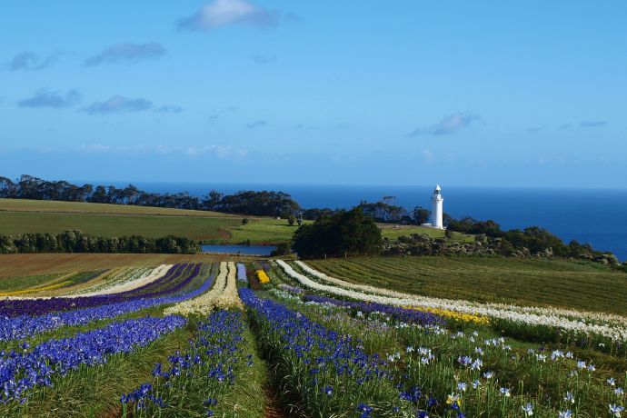 Table Cape TAS, Australia
