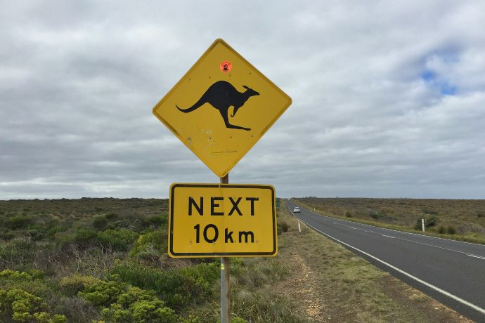 Traversing the Great Ocean Road in Victoria, Australia